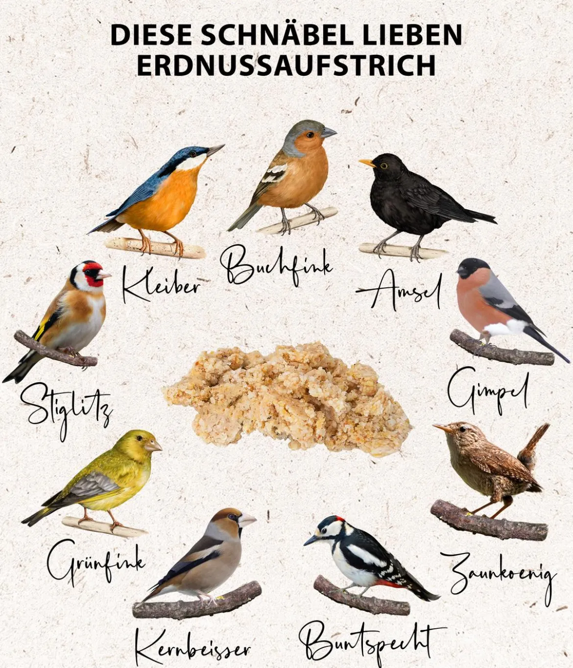 Dehner Natura Premium Wildvogelfutter Erdnuss-Aufstrich, 2 kg