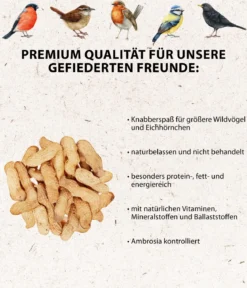 Dehner Natura Premium Wildvogelfutter Erdnüsse in der Schale, 500 g