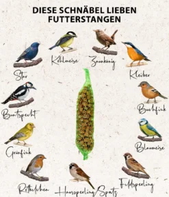Dehner Natura Premium Wildvogelfutter Gourmet-Stangen mit Erdnusskernen, 200 g