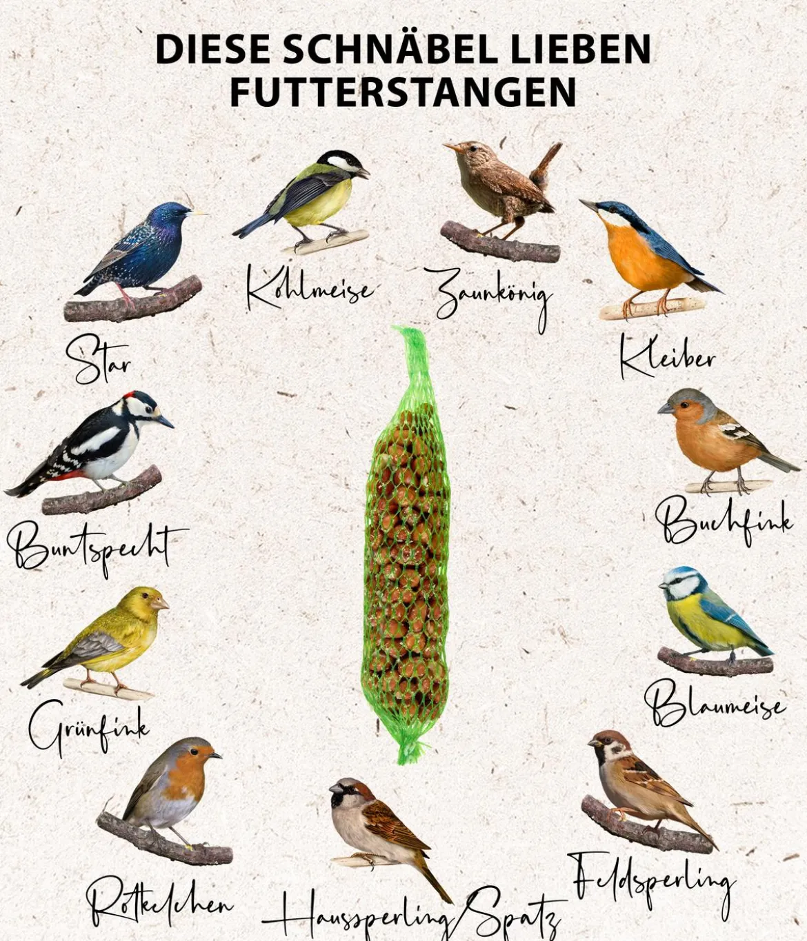 Dehner Natura Premium Wildvogelfutter Gourmet-Stangen mit Erdnusskernen, 200 g