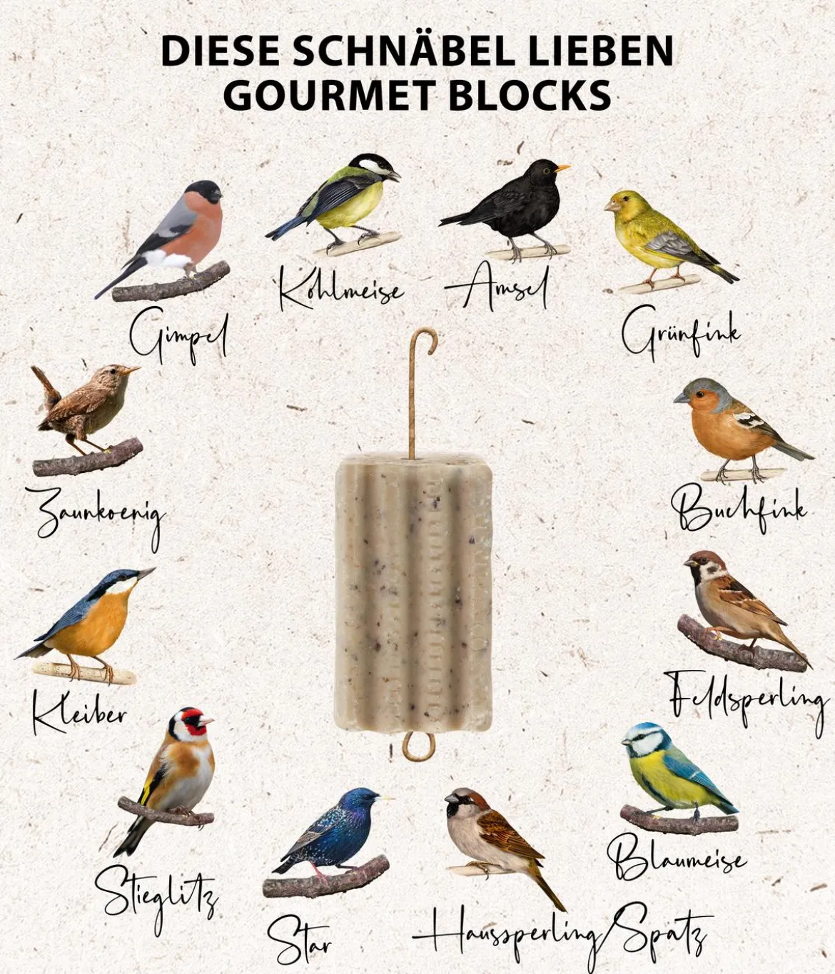 Dehner Natura Premium Wildvogelfutter Gourmet Blocks mit Hirse, 6 Stk á ca. 90 g