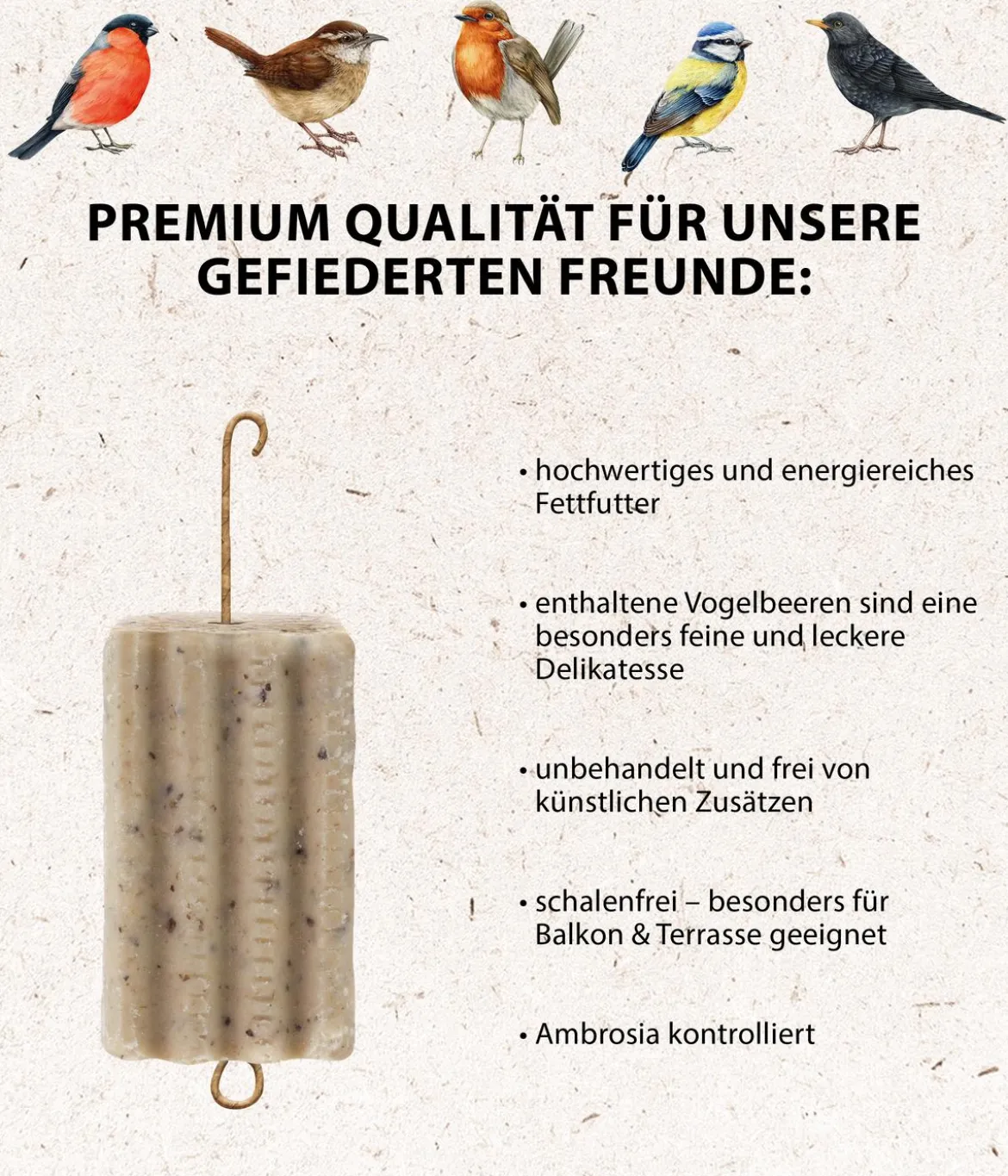 Dehner Natura Premium Wildvogelfutter Gourmet Blocks mit Vogelbeeren, 6 Stk á ca. 90 g