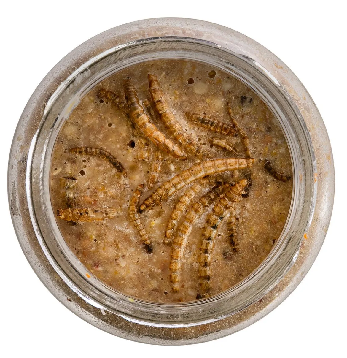Dehner Natura Premium Wildvogelfutter Erdnussbutter im Glas, Mehlwürmer, 8 x 340 g