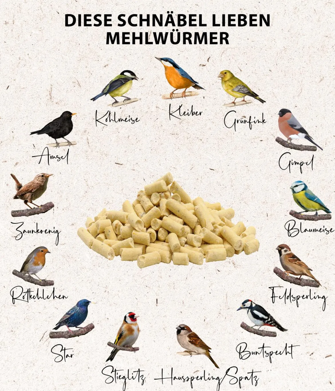 Dehner Natura Premium Wildvogelfutter Gourmet Sticks mit Mehlwürmern