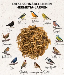Dehner Natura Premium Wildvogelsnack Hermetia-Larven, 400 g