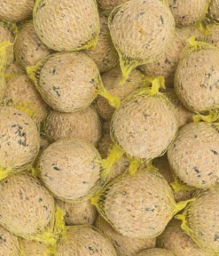 Dehner Natura Premium Wildvogelfutter Müsli-Meisenknödel im Eimer, mit Netz, 30 Stk.