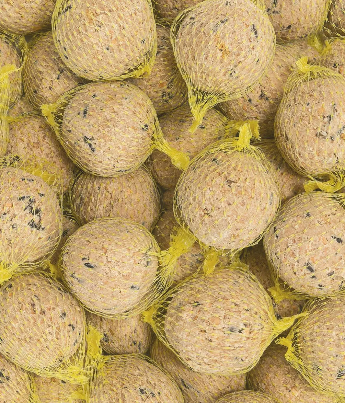 Dehner Natura Premium Wildvogelfutter Müsli-Meisenknödel im Eimer, mit Netz, 30 Stk.