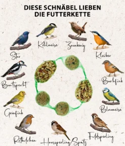 Dehner Natura Premium Wildvogelfutter Gourmet-Kette, 480 g