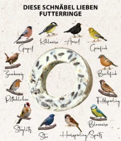 Dehner Natura Premium Wildvogel Gourmet-Ringe, 3 Stk.