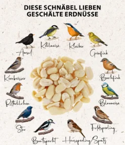 Dehner Natura Premium Wildvogelfutter Halbe/Ganze Erdnüsse, 5 l
