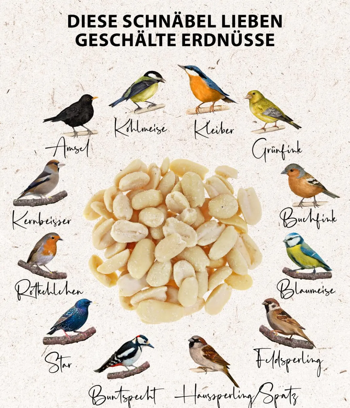 Dehner Natura Premium Wildvogelfutter Halbe/Ganze Erdnüsse, 5 l