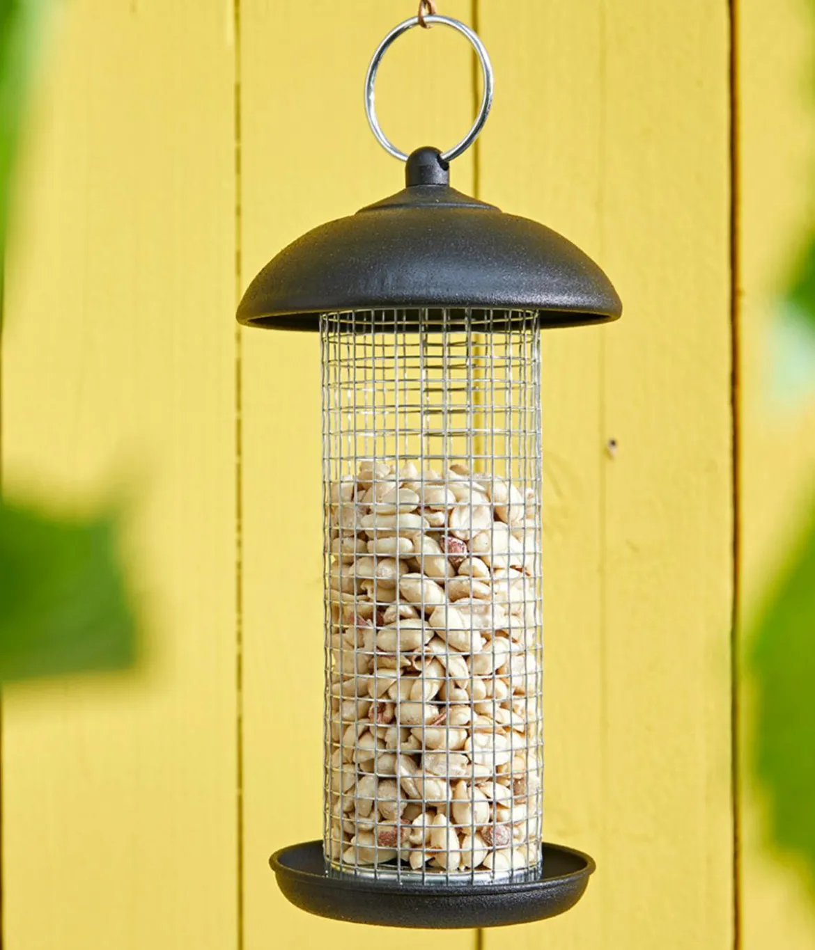 Dehner Natura Premium Wildvogelfutter Halbe/Ganze Erdnüsse