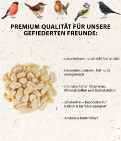 Dehner Natura Premium Wildvogelfutter Halbe/Ganze Erdnüsse