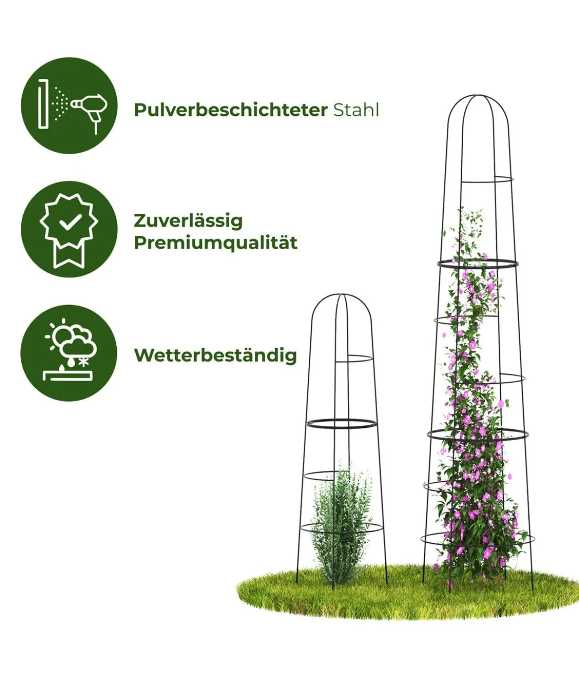 Dehner Obelisk Kuro
