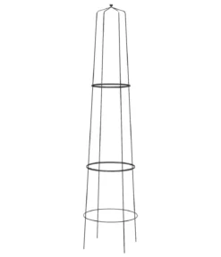 Dehner Obelisk Nova