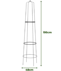 Dehner Obelisk Nova