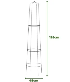 Dehner Obelisk Nova