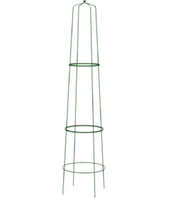 Dehner Obelisk Nova