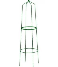 Dehner Obelisk Nova