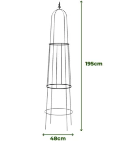 Dehner Obelisk Piazza