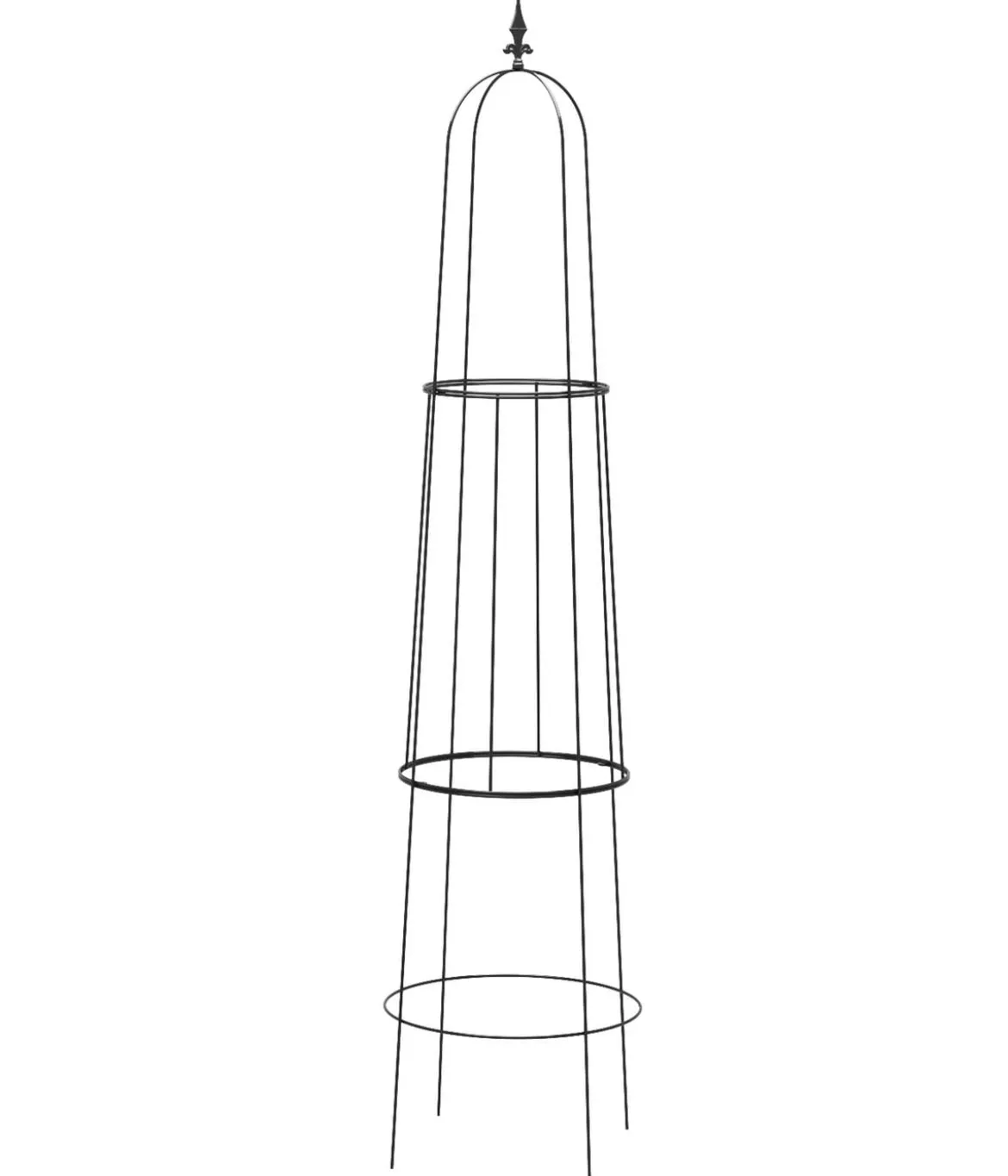 Dehner Obelisk Piazza