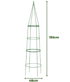 Dehner Obelisk Pietro