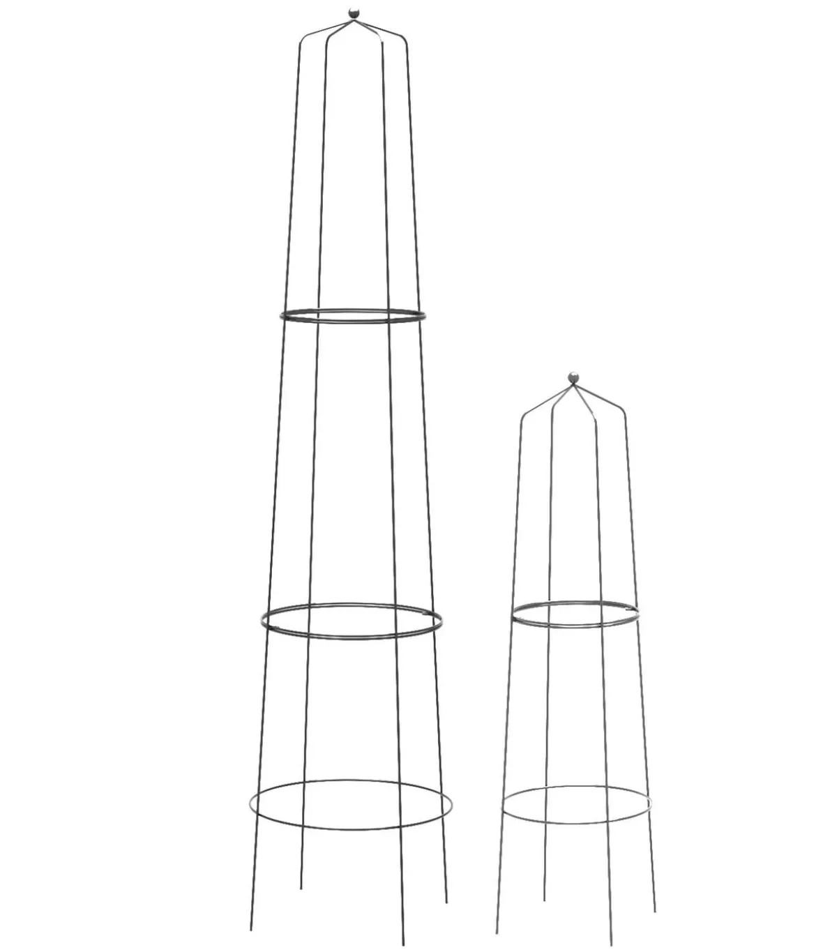 Dehner Obelisk-Sekt Nova, 2-teilig