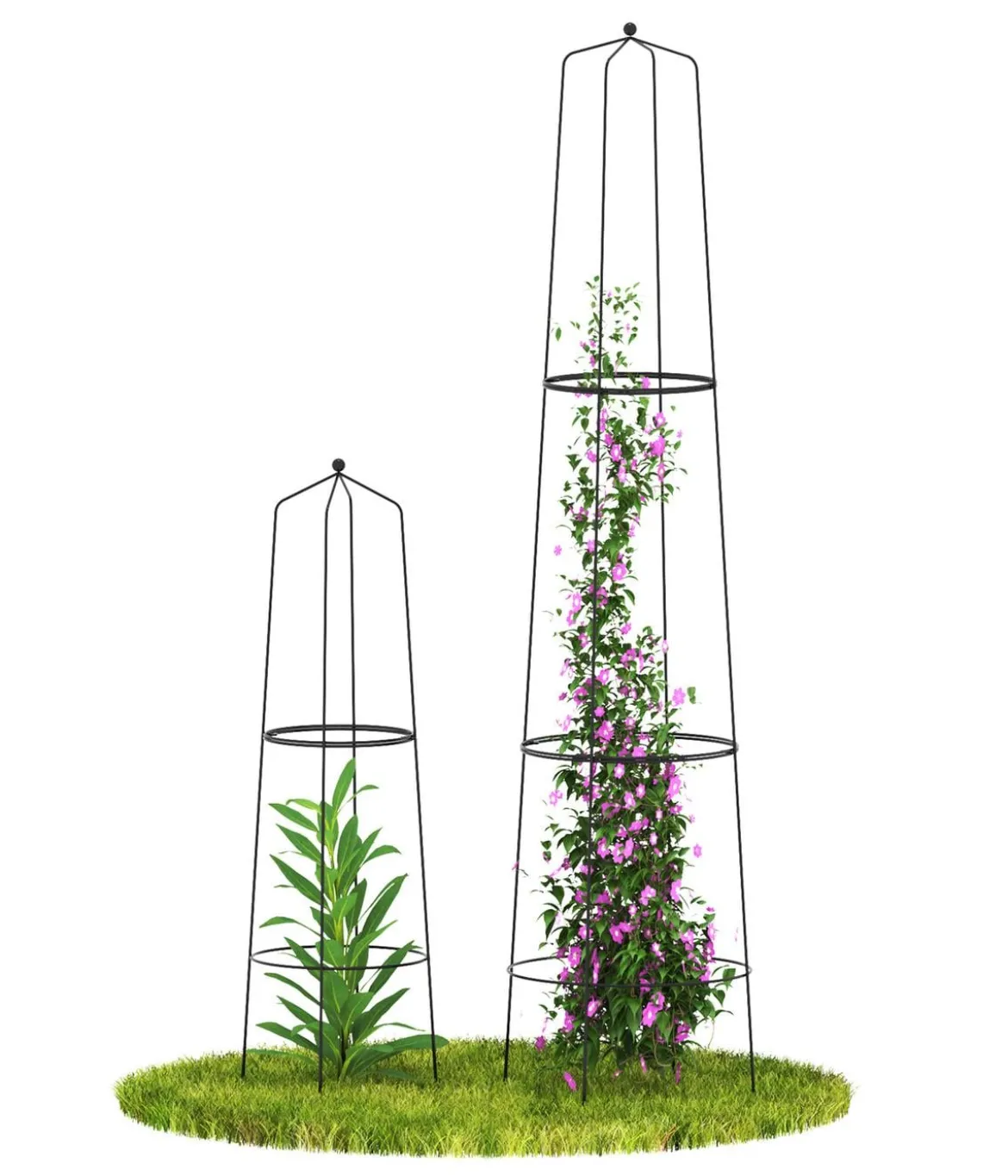 Dehner Obelisk-Sekt Nova, 2-teilig