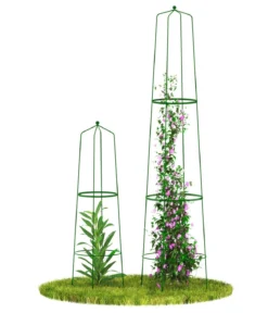 Dehner Obelisk-Sekt Nova, 2-teilig