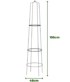 Dehner Obelisk-Sekt Nova, 2-teilig