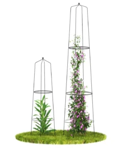 Dehner Obelisk-Sekt Nova, 2-teilig