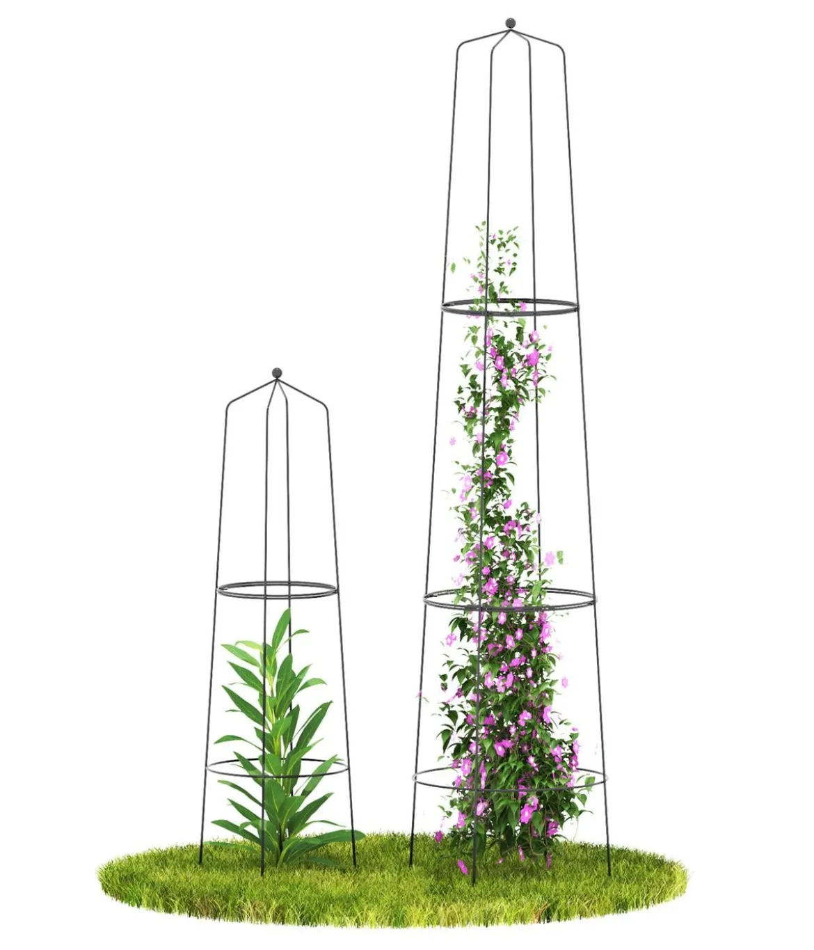Dehner Obelisk-Sekt Nova, 2-teilig