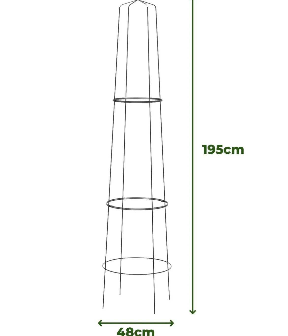 Dehner Obelisk-Sekt Nova, 2-teilig