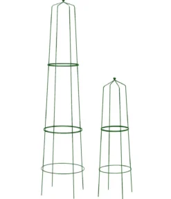 Dehner Obelisk-Sekt Nova, 2-teilig