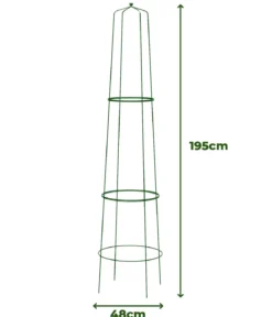 Dehner Obelisk-Sekt Nova, 2-teilig
