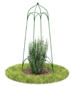 Dehner Obelisk Tenda