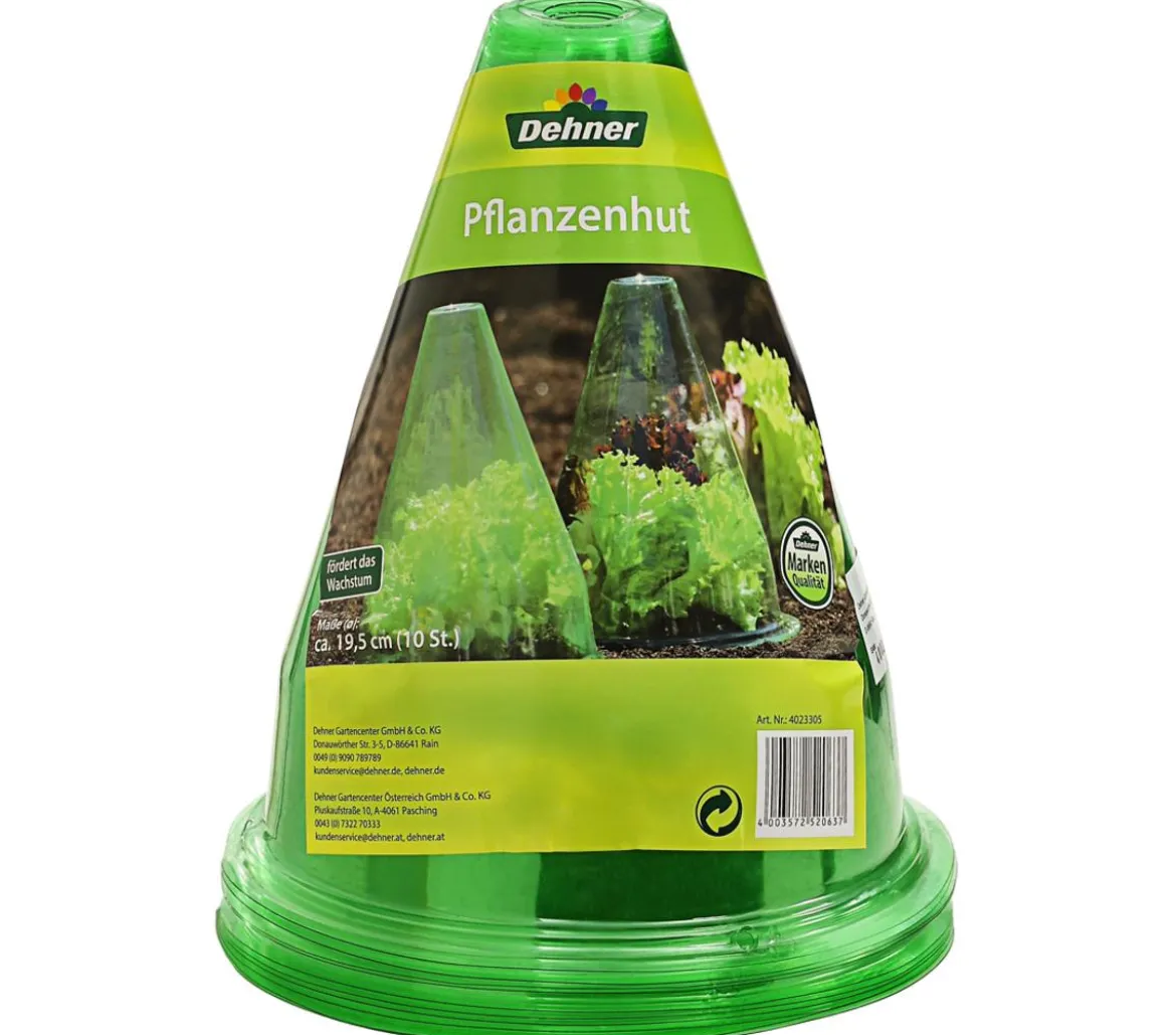 Dehner Pflanzenhut, 10 Stk.