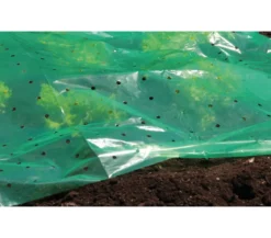 Dehner Pflanzfolie, 10 x 1,5 m