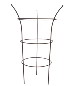 Dehner Pflanzstütze Chester, ca. Ø50/H70 cm