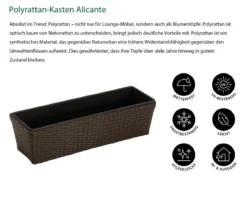 Dehner Polyrattan-Kasten Alicante, rechteckig, braun
