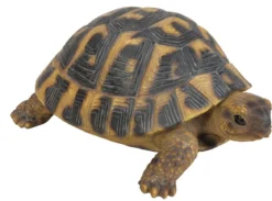 Dehner Polyresin-Landschildkröte