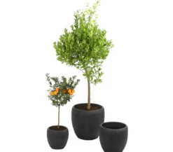 Dehner Polyresin-Pflanzvase Tokio in Riffeloptik, rund, grau