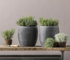 Dehner Polystone-Topf Brisbane in Riffeloptik, rund