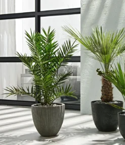 Dehner Polystone-Topf Brisbane in Riffeloptik, rund