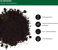Dehner Premium Blumenerde