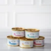 Dehner Premium Lovely Nassfutter für Katzen in Gelee Hab Spaß!, 24 x 85 g