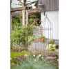 Dehner Premium Obelisk Odin