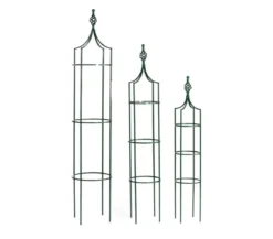 Dehner Premium Obelisk Royal