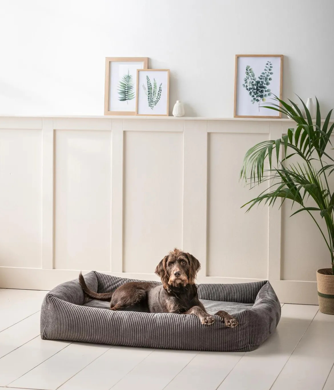 Dehner Premium Orthopädisches Hundebett Yumah, rechteckig, ca. B120/H23/T90 cm