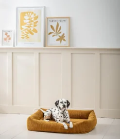 Dehner Premium Orthopädisches Hundebett Enola, rechteckig, ca. B90/H23/T70 cm